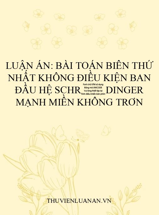 Luận án: Bài toán biên thứ nhất không điều kiện ban đầu hệ Schrödinger mạnh miền không trơn