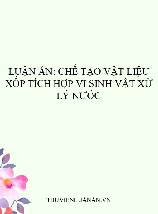 Luận án: Chế tạo vật liệu xốp tích hợp vi sinh vật xử lý nước