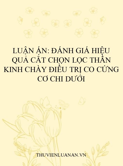 Luận án: Đánh giá hiệu quả cắt chọn lọc thần kinh chày điều trị co cứng cơ chi dưới