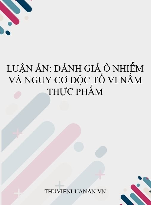Luận án: Đánh giá ô nhiễm và nguy cơ độc tố vi nấm thực phẩm