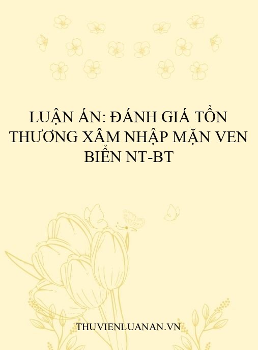 Luận án: Đánh giá tổn thương xâm nhập mặn ven biển NT-BT