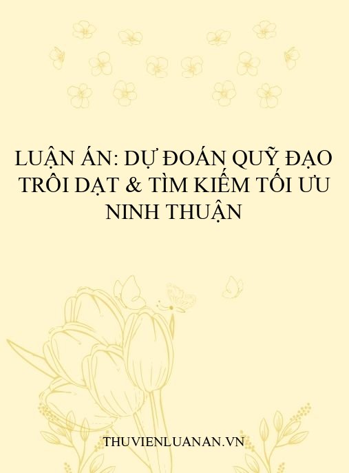 Luận án: Dự đoán quỹ đạo trôi dạt & tìm kiếm tối ưu Ninh Thuận