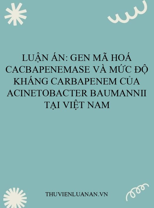 Luận án: Gen mã hoá cacbapenemase và mức độ kháng carbapenem của Acinetobacter baumannii tại Việt Nam