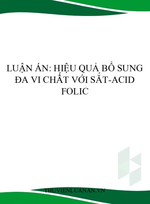 Luận án: Hiệu quả bổ sung đa vi chất với sắt-acid folic