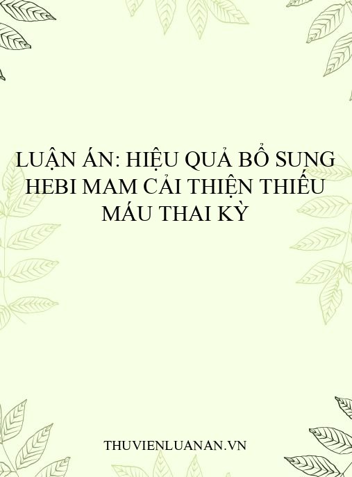 Luận án: Hiệu quả bổ sung HEBI MAM cải thiện thiếu máu thai kỳ