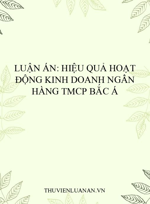 Luận án: Hiệu quả hoạt động kinh doanh Ngân hàng TMCP Bắc Á