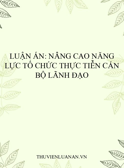 Luận án: Nâng cao năng lực tổ chức thực tiễn cán bộ lãnh đạo