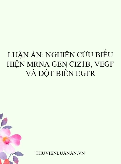 Luận án: Nghiên cứu biểu hiện mRNA gen CIZ1b, VEGF và đột biến EGFR