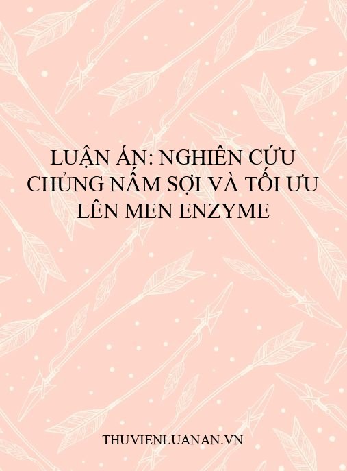 Luận án: Nghiên cứu chủng nấm sợi và tối ưu lên men enzyme