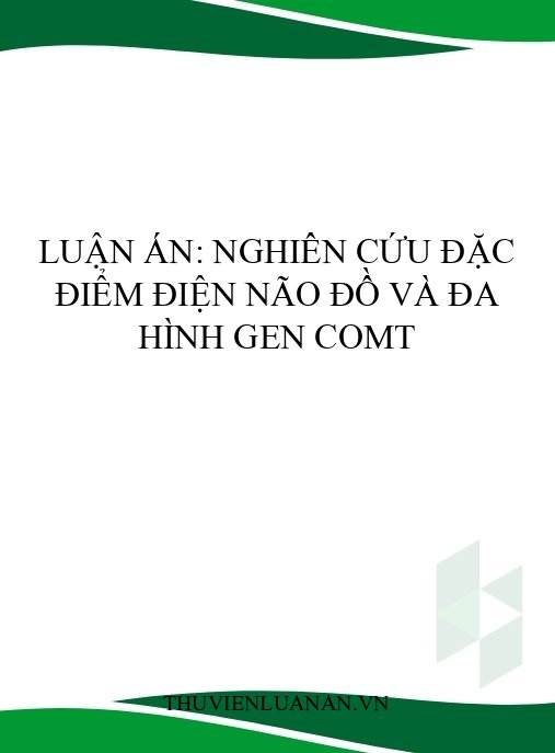 Luận án: Nghiên cứu đặc điểm điện não đồ và đa hình gen COMT