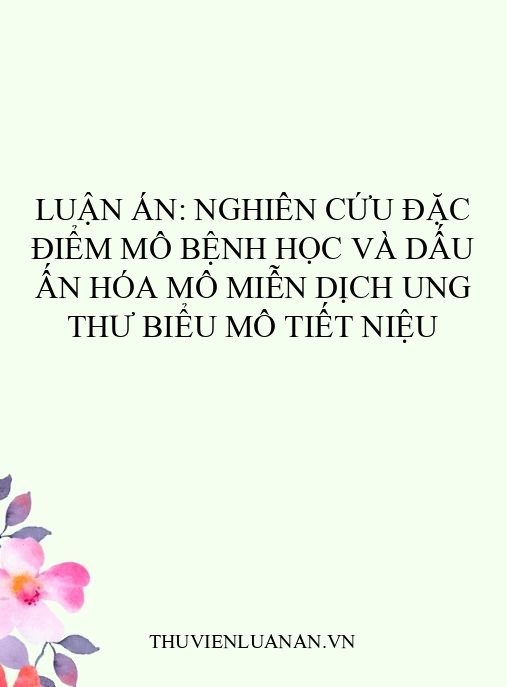 Luận án: Nghiên cứu đặc điểm mô bệnh học và dấu ấn hóa mô miễn dịch ung thư biểu mô tiết niệu
