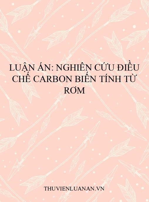 Luận án: Nghiên cứu điều chế carbon biến tính từ rơm