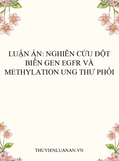 Luận án: Nghiên cứu đột biến gen EGFR và methylation ung thư phổi