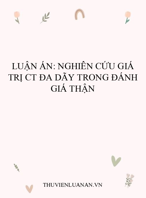 Luận án: Nghiên cứu giá trị CT đa dãy trong đánh giá thận