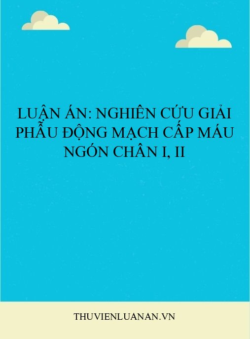 Luận án: Nghiên cứu giải phẫu động mạch cấp máu ngón chân I, II