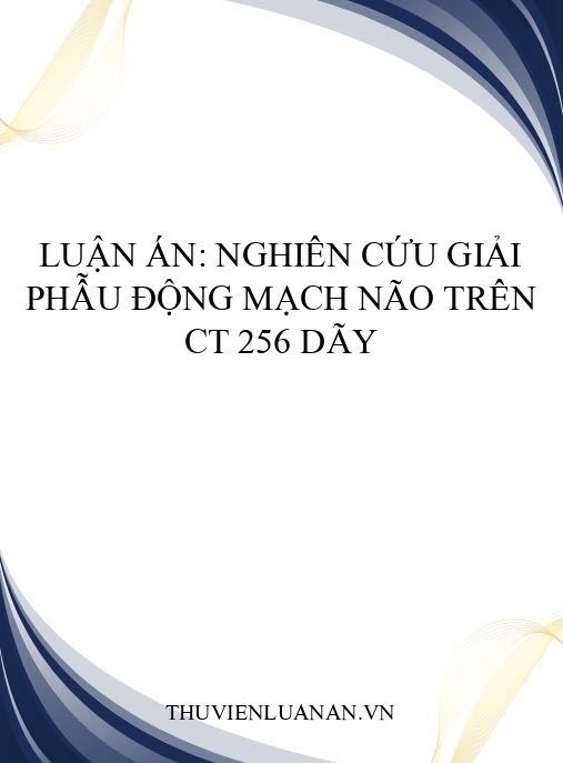 Luận án: Nghiên cứu giải phẫu động mạch não trên CT 256 dãy