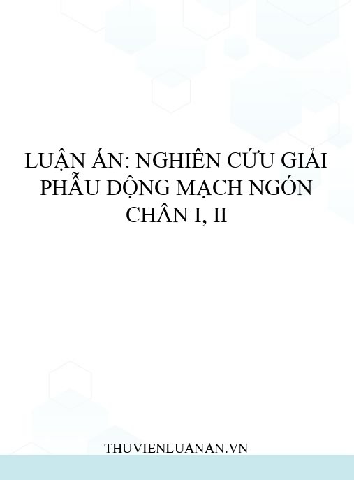 Luận án: Nghiên cứu giải phẫu động mạch ngón chân I, II