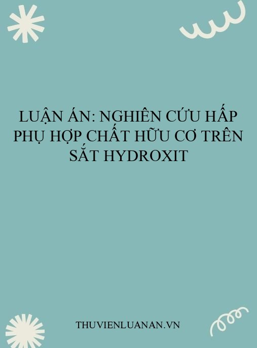 Luận án: Nghiên cứu hấp phụ hợp chất hữu cơ trên sắt hydroxit