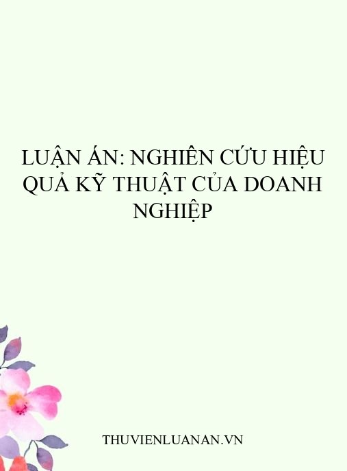 Luận án: Nghiên cứu hiệu quả kỹ thuật của doanh nghiệp