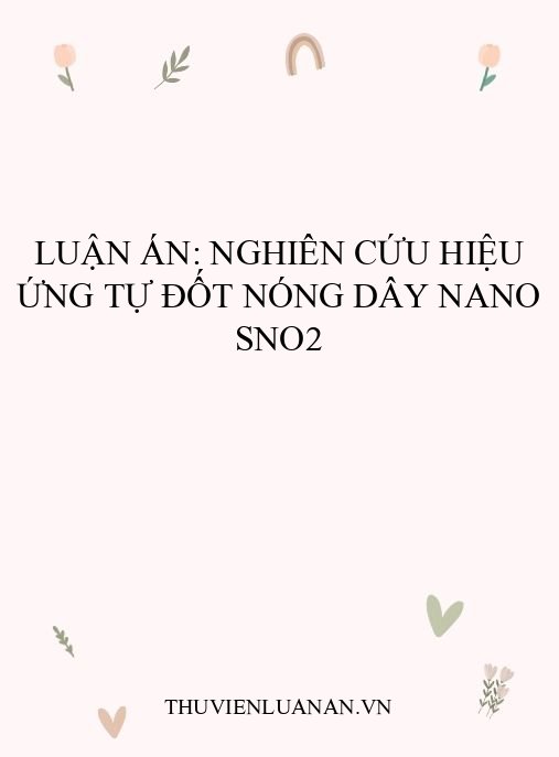 Luận án: Nghiên cứu hiệu ứng tự đốt nóng dây nano SnO2