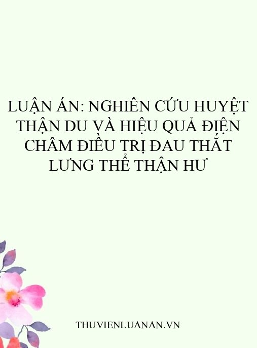 Luận án: Nghiên cứu huyệt Thận du và hiệu quả điện châm điều trị đau thắt lưng thể thận hư