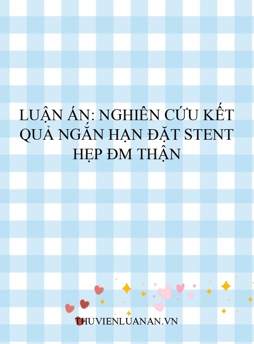 Luận án: Nghiên cứu kết quả ngắn hạn đặt Stent hẹp ĐM thận