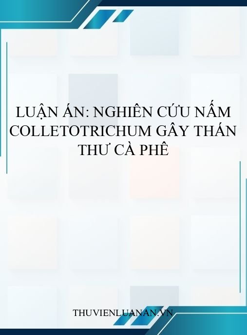 Luận án: Nghiên cứu nấm Colletotrichum gây thán thư cà phê