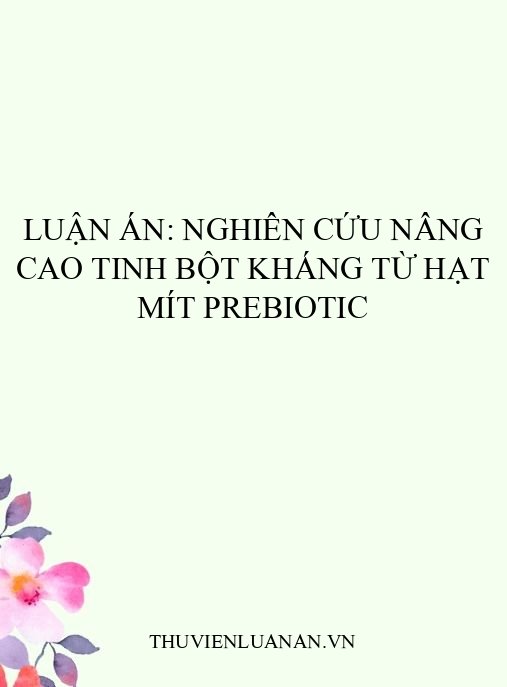 Luận án: Nghiên cứu nâng cao tinh bột kháng từ hạt mít prebiotic