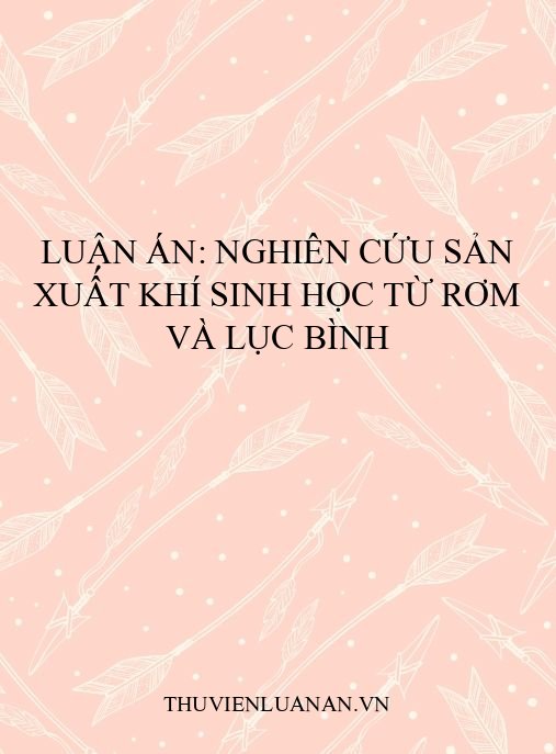 Luận án: Nghiên cứu sản xuất khí sinh học từ rơm và lục bình