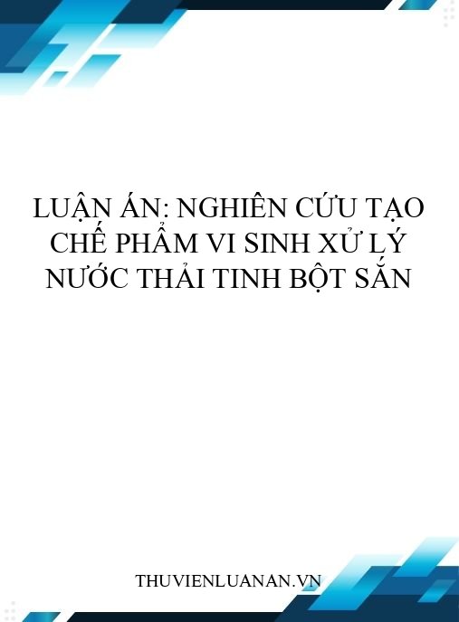 Luận án: Nghiên cứu tạo chế phẩm vi sinh xử lý nước thải tinh bột sắn