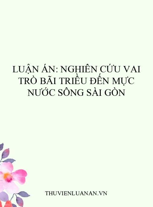 Luận án: Nghiên cứu vai trò bãi triều đến mực nước sông Sài Gòn