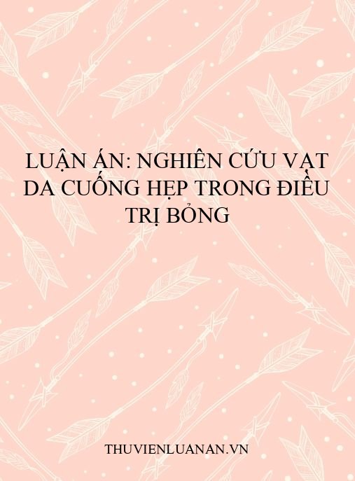 Luận án: Nghiên cứu vạt da cuống hẹp trong điều trị bỏng