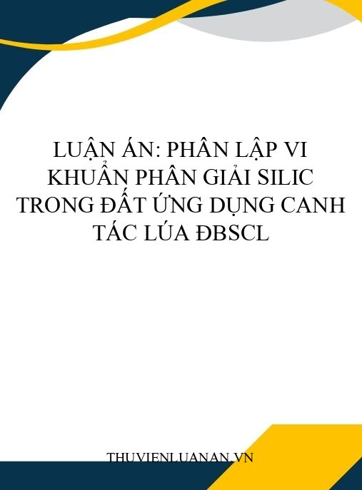 Luận án: Phân lập vi khuẩn phân giải silic trong đất ứng dụng canh tác lúa ĐBSCL