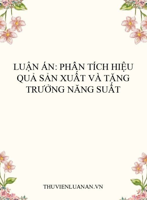 Luận án: Phân tích hiệu quả sản xuất và tăng trưởng năng suất