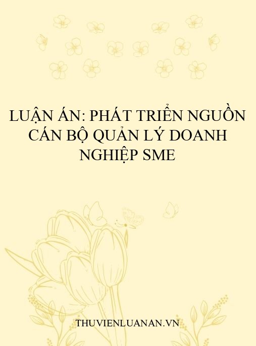 Luận án: Phát triển nguồn cán bộ quản lý doanh nghiệp SME