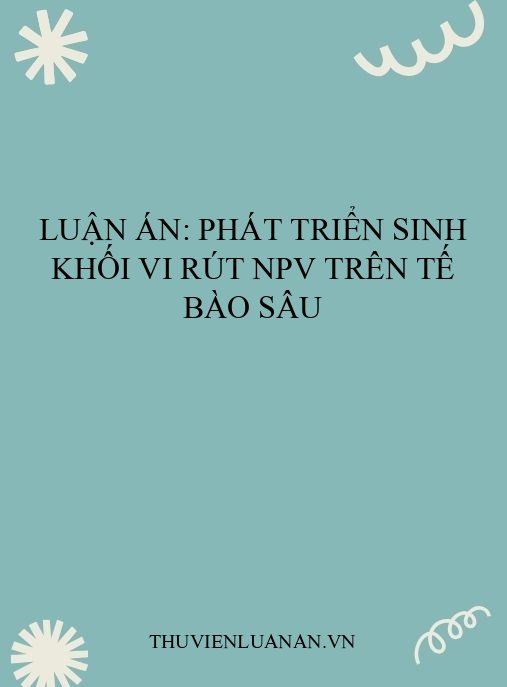 Luận án: Phát triển sinh khối vi rút NPV trên tế bào sâu