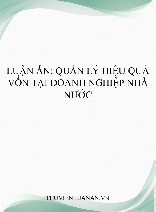 Luận án: Quản Lý Hiệu Quả Vốn Tại Doanh Nghiệp Nhà Nước