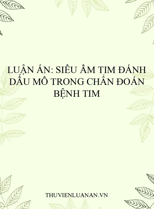 Luận án: Siêu âm tim đánh dấu mô trong chẩn đoán bệnh tim