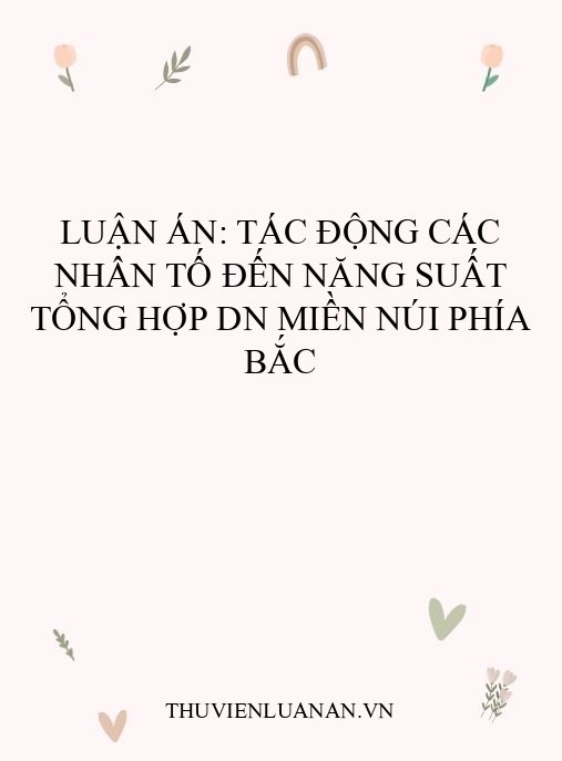 Luận án: Tác động các nhân tố đến năng suất tổng hợp DN miền núi phía Bắc