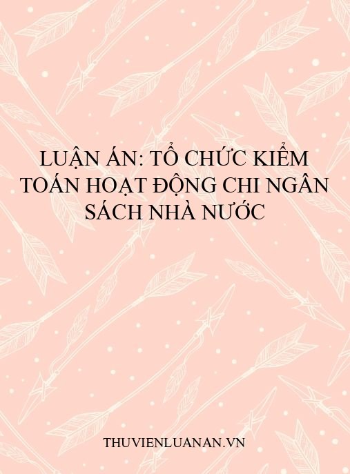 Luận án: Tổ chức kiểm toán hoạt động chi ngân sách nhà nước