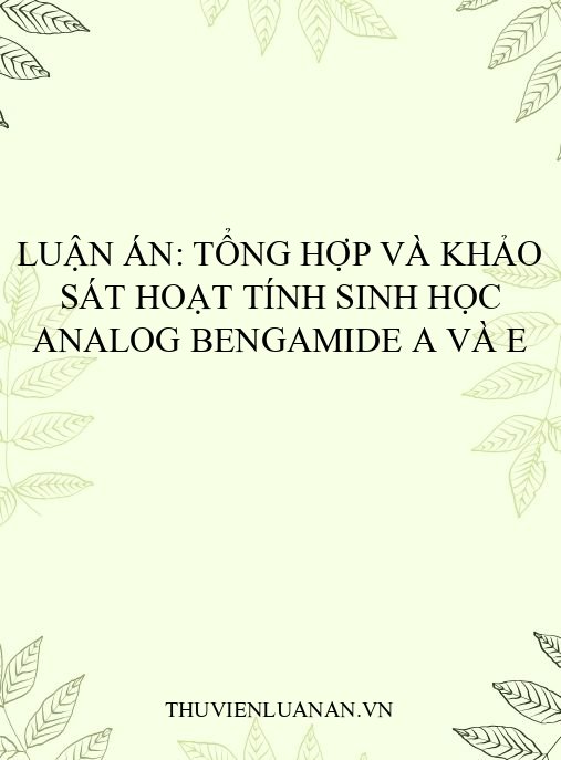Luận án: Tổng hợp và khảo sát hoạt tính sinh học analog bengamide A và E
